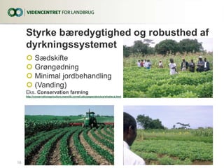 Styrke bæredygtighed og robusthed af
dyrkningssystemet
 Sædskifte
 Grøngødning
 Minimal jordbehandling
 (Vanding)
Eks. Conservation farming
http://conservationagriculture.mannlib.cornell.edu/pages/aboutca/whatisca.html
23. februar 201618...|
 