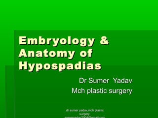 Embryology &Embryology &
Anatomy ofAnatomy of
HypospadiasHypospadias
Dr Sumer YadavDr Sumer Yadav
Mch plastic surgeryMch plastic surgery
dr sumer yadav,mch plasticdr sumer yadav,mch plastic
surgery,surgery,
 