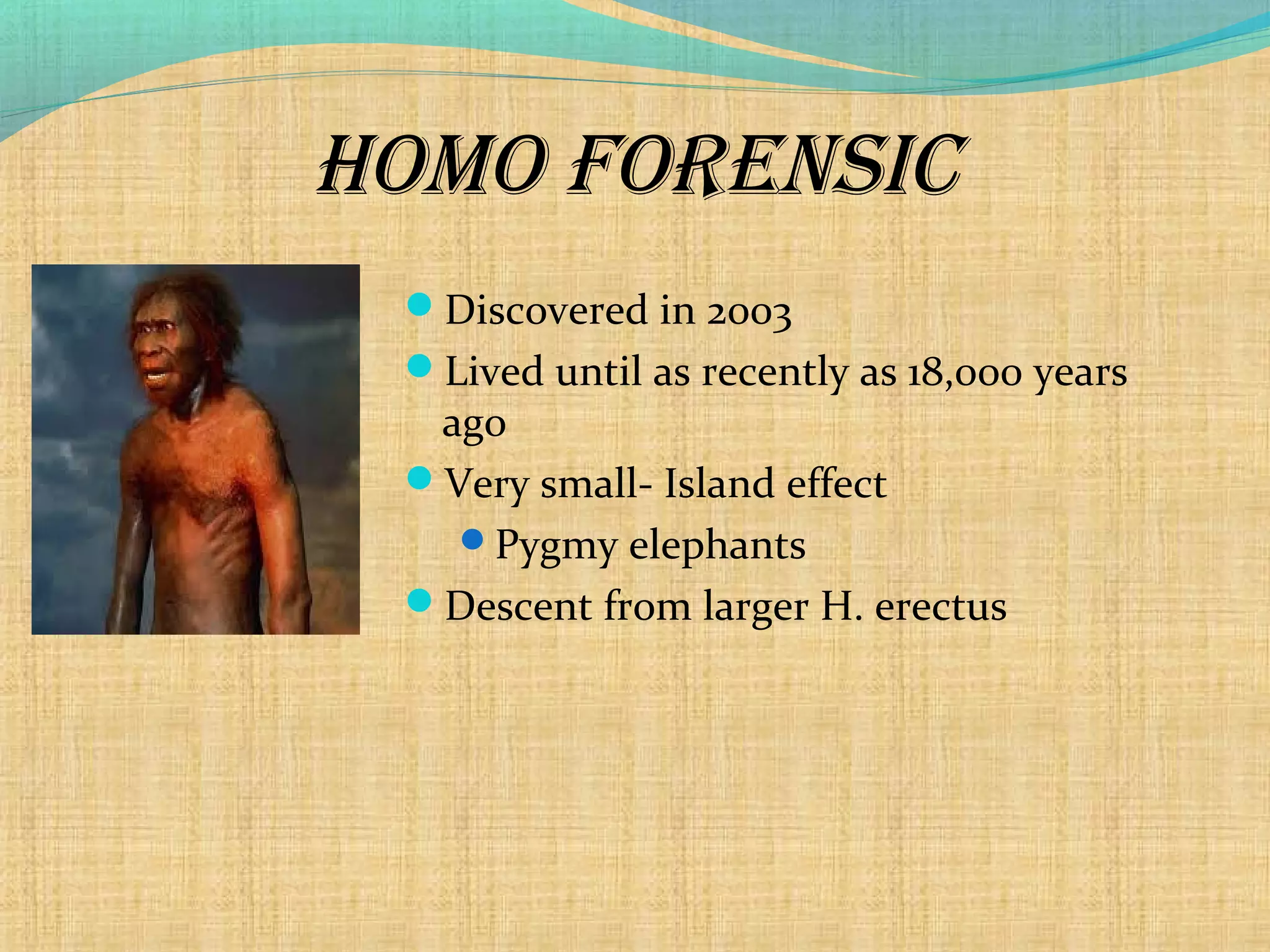 Human Evolution - The drastic change | PPT