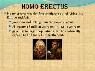 Human Evolution - The drastic change | PPT