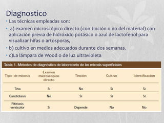 Diagnostico
• Las técnicas empleadas son:
• a) examen microscópico directo (con tinción o no del material) con
aplicación previa de hidróxido potásico o azul de lactofenol para
visualizar hifas o artosporas,
• b) cultivo en medios adecuados durante dos semanas.
• c)La lámpara de Wood o de luz ultravioleta

 
