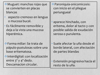 Muguet: manchas rojas que
se convierten en placas
blancas
• aspecto cremoso en lengua
o mucosa bucal.
• Es fácilmente removible y
deja a la vista una mucosa
hiperémica.

Paroniquia-onicomicosis:
con inicio en el pliegue
periungueal

Forma miliar: Se trata de
pápulo-pustulosas sobre una
base eritematosa.
Interdigital: con localización
entre 3º y 4º dedo.
Descamacion circular.

• Suele afectar la uña desde el
borde lateral, con afectación
de partes blandas

• aparece hinchado, con
eritema, dolor al tacto y con
posible salida de exudación
serosa o purulenta.

• Extensión progresiva hacía el
resto de la uña.

 