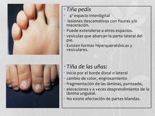 • Tiña pedis
• 4º espacio interdigital
• lesiones descamativas con fisuras y/o
maceración.
• Puede extenderse a otros espacios.
• vesículas que abarcan la parte lateral del
pie.
• Existen formas hiperqueratósicas y
vesiculares.

• Tiña de las uñas:
•
•
•
•

inicia por el borde distal o lateral
cambio de color, engrosamiento
fragmentación de las láminas, punteado,
elevaciones y a veces desprendimiento de la
lámina ungueal.
• No existe afectación de partes blandas.

 