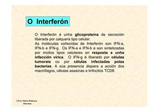 O Interferón
                  O Interferón é unha glicoproteína de secreción
                  liberada por calquera tipo celular.
                  As moléculas coñecidas de Interferón son IFN-a,
                  IFN-b e IFN-g. Os IFN-a e IFN-b e son sintetizadas
                  por moitos tipos celulares en resposta a unha
                  infección vírica. O IFN-g é liberado por células
                  tumorais ou por células infectadas polas
                  bacterias. A súa presencia dispara a acción dos
                  macrófagos, células asasinas e linfocitos TCD8.




I.E.S. Otero Pedrayo.
       Ourense
 