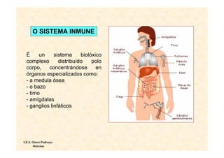O SISTEMA INMUNE


  É     un     sistema     biolóxico
  complexo       distribuído    polo
  corpo,    concentrándose        en
  órganos especializados como:
  - a medula ósea
  - o bazo
  - timo
  - amígdalas
  - ganglios linfáticos




I.E.S. Otero Pedrayo.
       Ourense
 