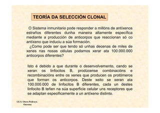 TEORÍA DA SELECCIÓN CLONAL

          O Sistema inmunitario pode responder a millóns de antíxenos
         estraños diferentes dunha maneira altamente específica
         mediante a producción de anticorpos que reaccionan só co
         antíxeno que induciu a súa formación.
           ¿Como pode ser que tendo só unhas decenas de miles de
         xenes nas nosas células podamos xerar ata 100.000.000
         anticorpos diferentes?

          Isto é debido a que durante o desenvolvemento, cando se
          xeran os linfocitos B, prodúcense combinacións e
          recombinacións entre os xenes que producen os protómeros
          que forman os anticorpos. Deste xeito se xeran ata
          100.000.000 de linfocitos B diferentes, cada un destes
          linfocito B teñen na súa superficie celular uns receptores que
          se adaptan especificamente a un antíxeno distinto.

I.E.S. Otero Pedrayo.
       Ourense
 