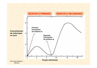 RESPOSTA PRIMARIA                 RESPOSTA SECUNDARIA




                          Primeira
                          inoculación
Concentración             do antíxeno A
de anticorpos
no soro                                   Segunda
                                          inoculación
                                          do antíxeno A




                                      Tempo (semanas)
I.E.S. Otero Pedrayo.
       Ourense
 