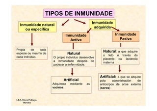TIPOS DE INMUNIDADE
                                                       Inmunidade
   Inmunidade natural
                                                        adquirida
      ou específica
                                  Inmunidade                        Inmunidade
                                    Activa                            Pasiva

Propia     de   cada
                                                            Natural: a que adquire
especie ou mesmo de                   Natural               o feto ó través da
cada individuo.           O propio individuo desenvolve     placenta ou lactancia
                          a inmunidade despois de           materna
                          padecer a enfermidade.



                                                          Artificial: a que se adquire
                                 Artificial               pola     administración  de
                          Adquírese    mediante   as      anticorpos de orixe externo
                          vacinas.                        (soros)


I.E.S. Otero Pedrayo.
       Ourense
 