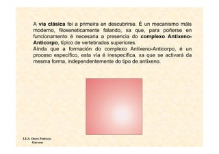 A vía clásica foi a primeira en descubrirse. É un mecanismo máis
       moderno, filoxeneticamente falando, xa que, para poñerse en
       funcionamento é necesaria a presencia do complexo Antíxeno-
       Anticorpo, típico de vertebrados superiores.
       Aínda que a formación do complexo Antíxeno-Anticorpo, é un
       proceso específico, esta vía é inespecífica, xa que se activará da
       mesma forma, independentemente do tipo de antíxeno.




I.E.S. Otero Pedrayo.
       Ourense
 