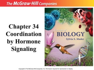 Copyright  ©  The McGraw-Hill Companies, Inc. Permission required for reproduction or display. Chapter 34 Coordination by Hormone Signaling 