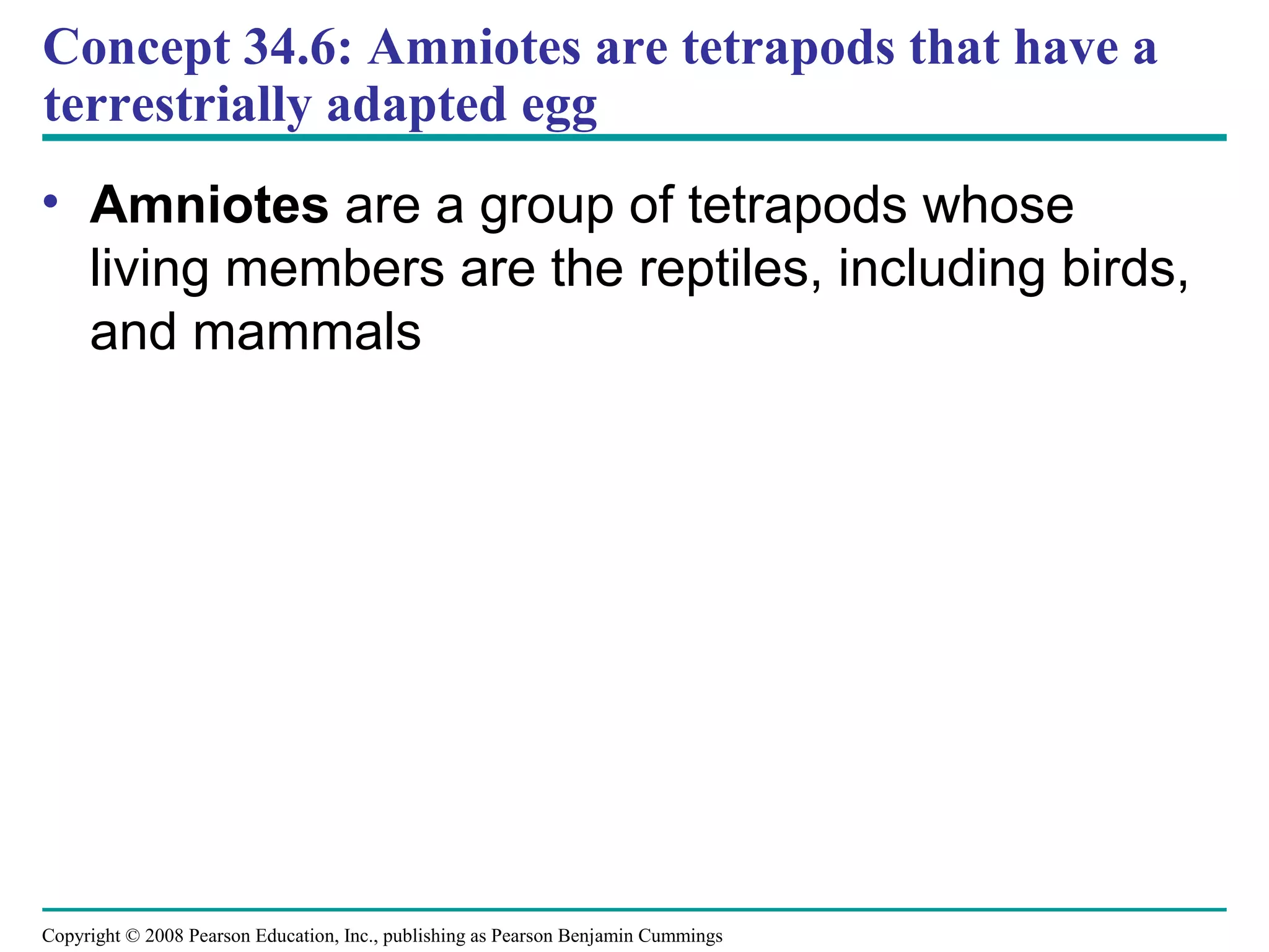 Copyright © 2008 Pearson Education, Inc., publishing as Pearson Benjamin Cummings
Concept 34.6: Amniotes are tetrapods that have a
terrestrially adapted egg
• Amniotes are a group of tetrapods whose
living members are the reptiles, including birds,
and mammals
 