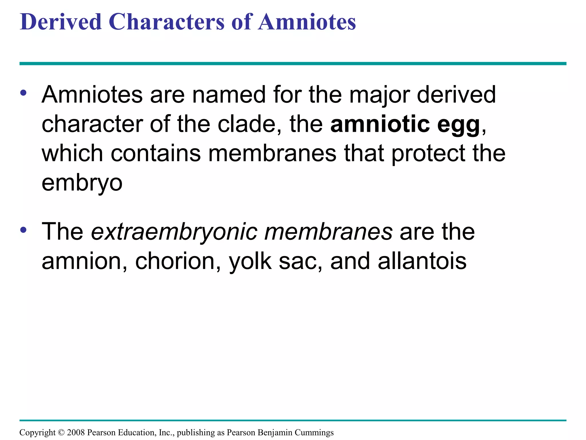 Copyright © 2008 Pearson Education, Inc., publishing as Pearson Benjamin Cummings
Derived Characters of Amniotes
• Amniotes are named for the major derived
character of the clade, the amniotic egg,
which contains membranes that protect the
embryo
• The extraembryonic membranes are the
amnion, chorion, yolk sac, and allantois
 