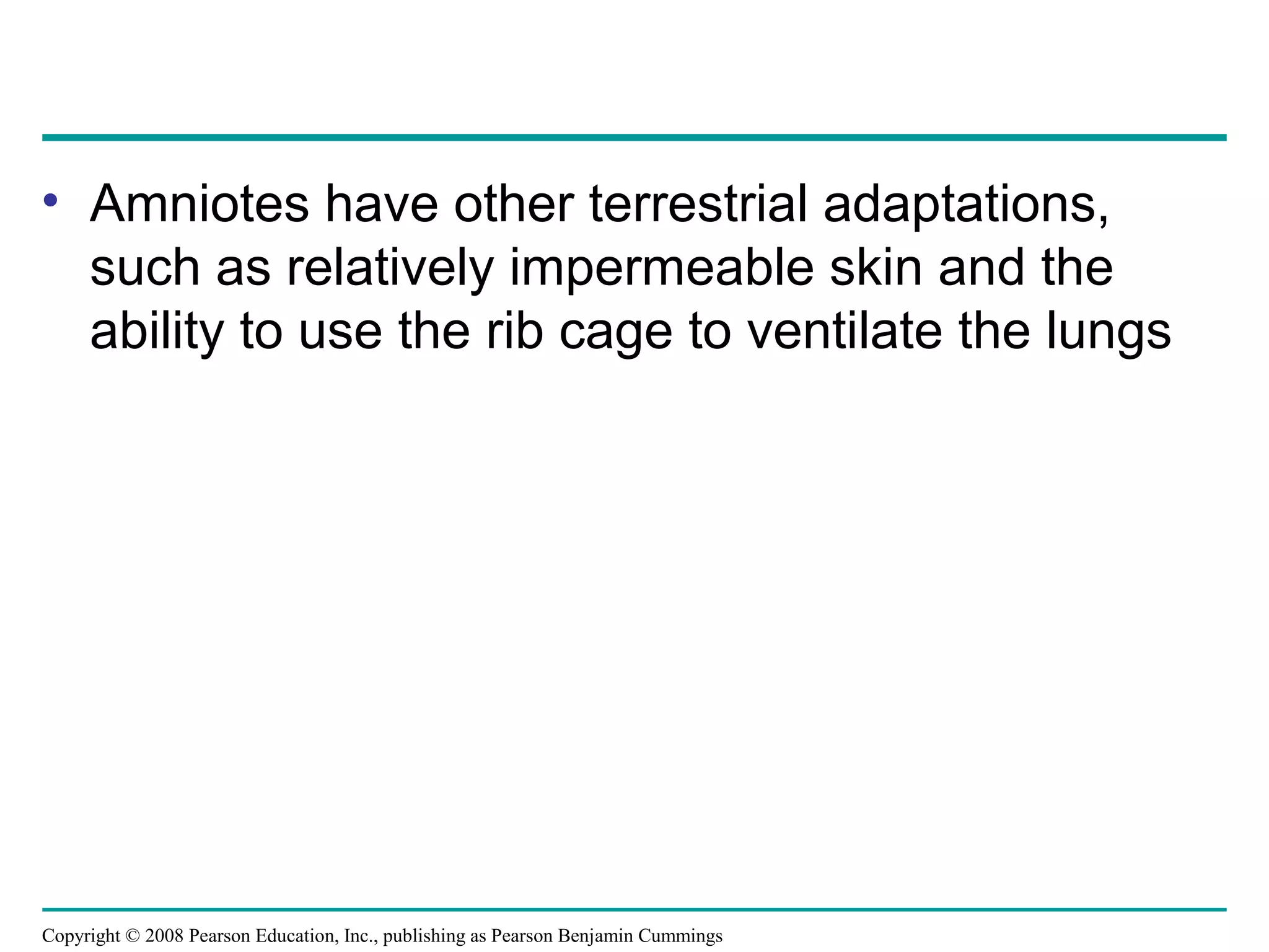 Copyright © 2008 Pearson Education, Inc., publishing as Pearson Benjamin Cummings
• Amniotes have other terrestrial adaptations,
such as relatively impermeable skin and the
ability to use the rib cage to ventilate the lungs
 