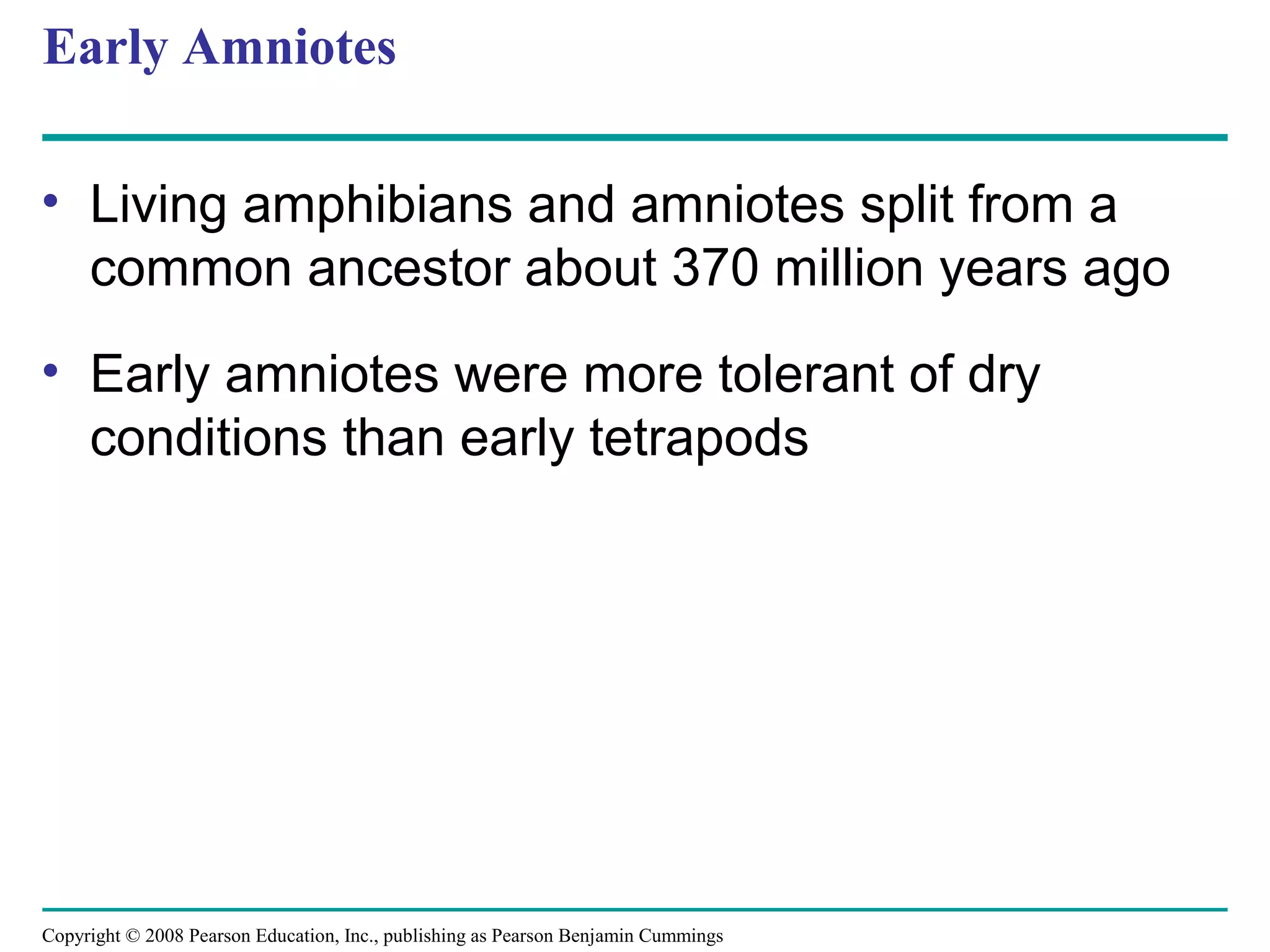 Copyright © 2008 Pearson Education, Inc., publishing as Pearson Benjamin Cummings
Early Amniotes
• Living amphibians and amniotes split from a
common ancestor about 370 million years ago
• Early amniotes were more tolerant of dry
conditions than early tetrapods
 