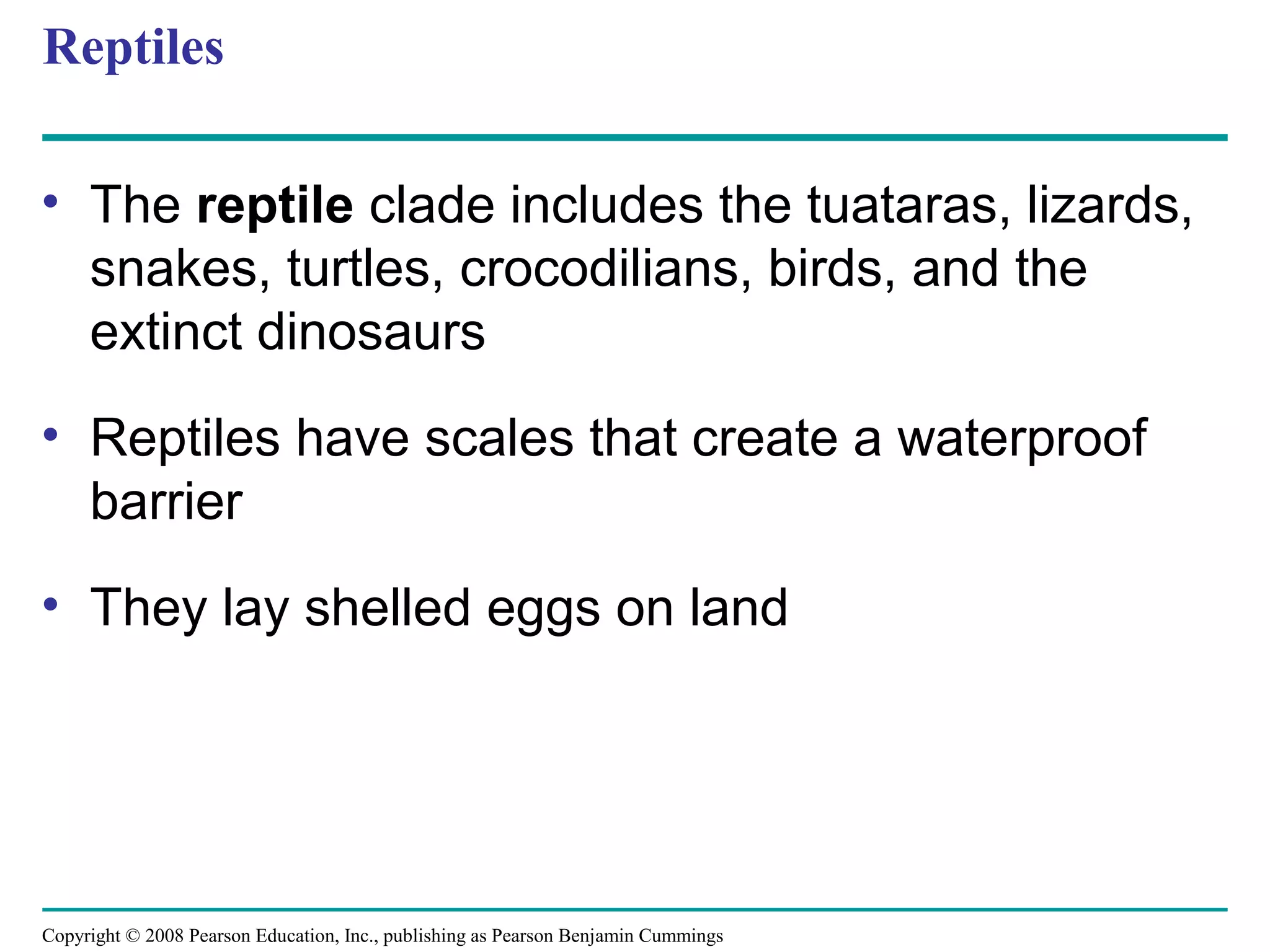 Copyright © 2008 Pearson Education, Inc., publishing as Pearson Benjamin Cummings
Reptiles
• The reptile clade includes the tuataras, lizards,
snakes, turtles, crocodilians, birds, and the
extinct dinosaurs
• Reptiles have scales that create a waterproof
barrier
• They lay shelled eggs on land
 