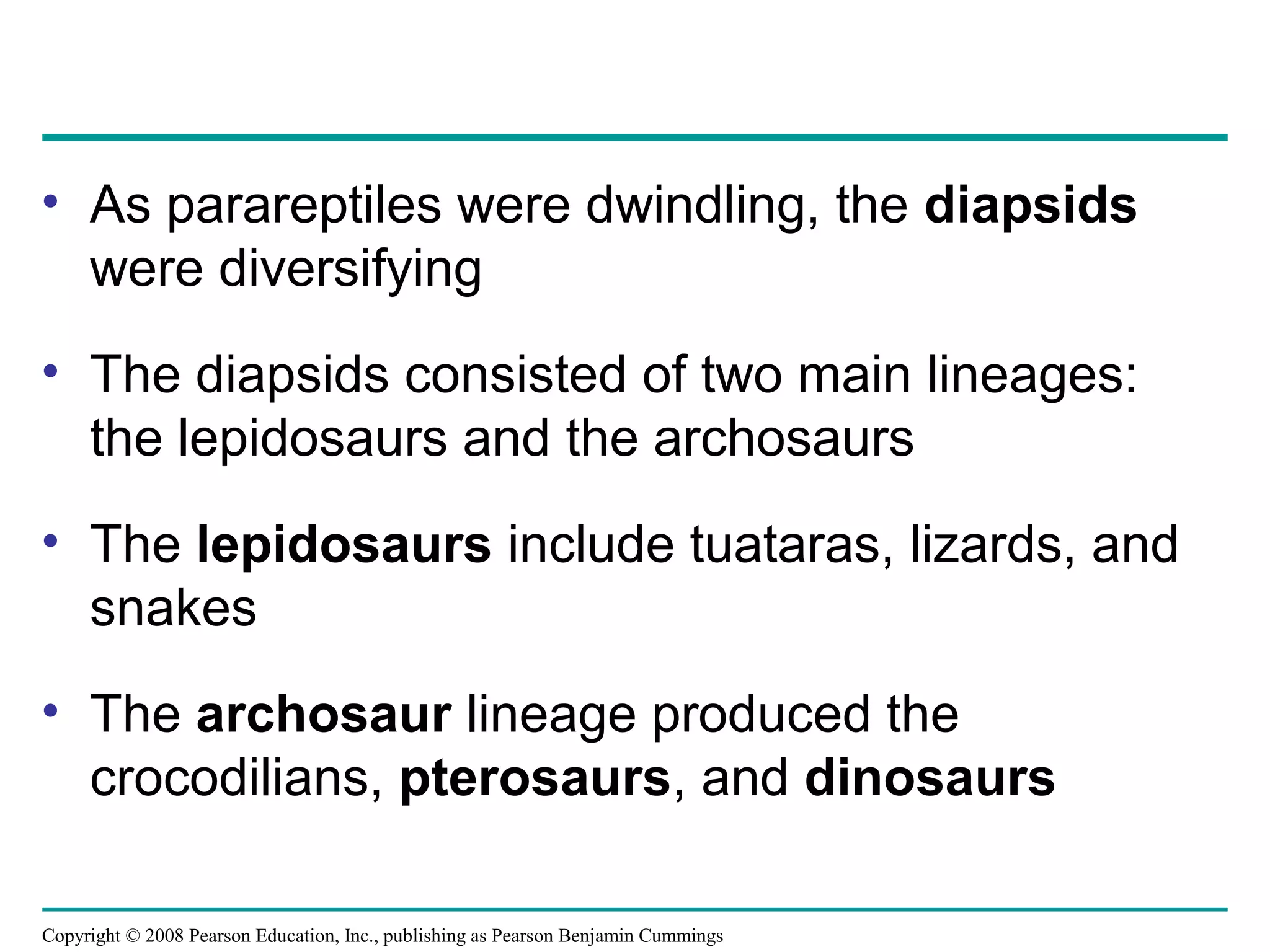 Copyright © 2008 Pearson Education, Inc., publishing as Pearson Benjamin Cummings
• As parareptiles were dwindling, the diapsids
were diversifying
• The diapsids consisted of two main lineages:
the lepidosaurs and the archosaurs
• The lepidosaurs include tuataras, lizards, and
snakes
• The archosaur lineage produced the
crocodilians, pterosaurs, and dinosaurs
 