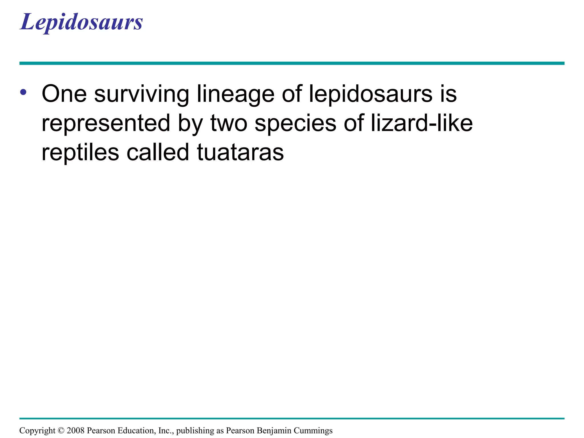 Copyright © 2008 Pearson Education, Inc., publishing as Pearson Benjamin Cummings
Lepidosaurs
• One surviving lineage of lepidosaurs is
represented by two species of lizard-like
reptiles called tuataras
 