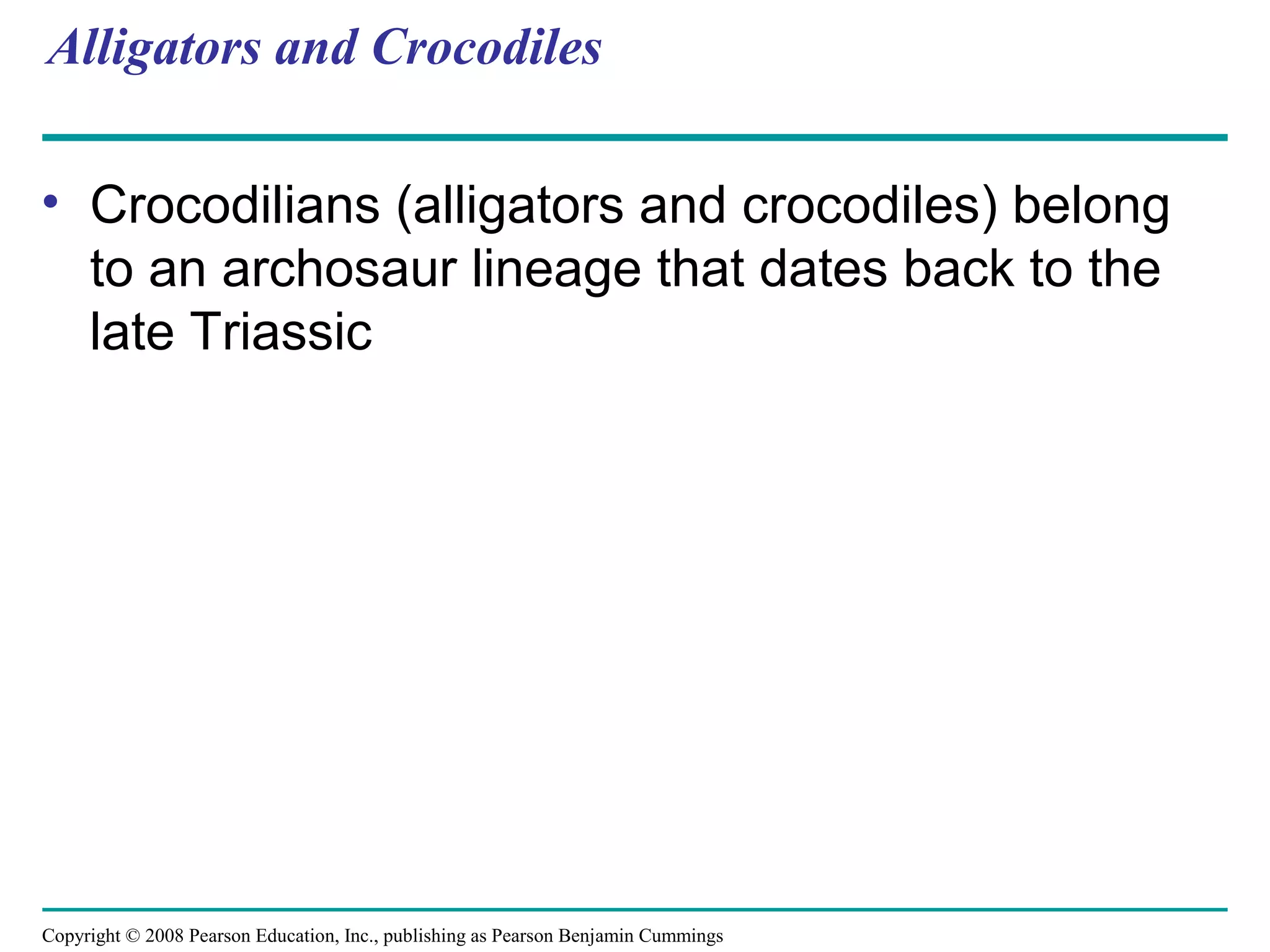 Copyright © 2008 Pearson Education, Inc., publishing as Pearson Benjamin Cummings
Alligators and Crocodiles
• Crocodilians (alligators and crocodiles) belong
to an archosaur lineage that dates back to the
late Triassic
 