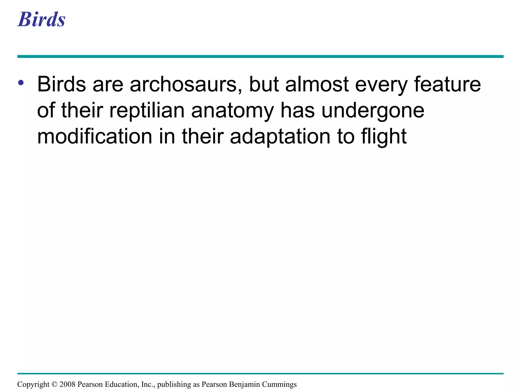 Copyright © 2008 Pearson Education, Inc., publishing as Pearson Benjamin Cummings
Birds
• Birds are archosaurs, but almost every feature
of their reptilian anatomy has undergone
modification in their adaptation to flight
 