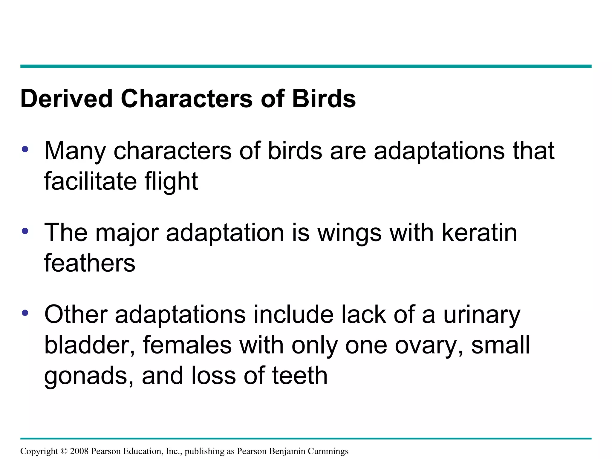 Copyright © 2008 Pearson Education, Inc., publishing as Pearson Benjamin Cummings
• Many characters of birds are adaptations that
facilitate flight
• The major adaptation is wings with keratin
feathers
• Other adaptations include lack of a urinary
bladder, females with only one ovary, small
gonads, and loss of teeth
Derived Characters of Birds
 
