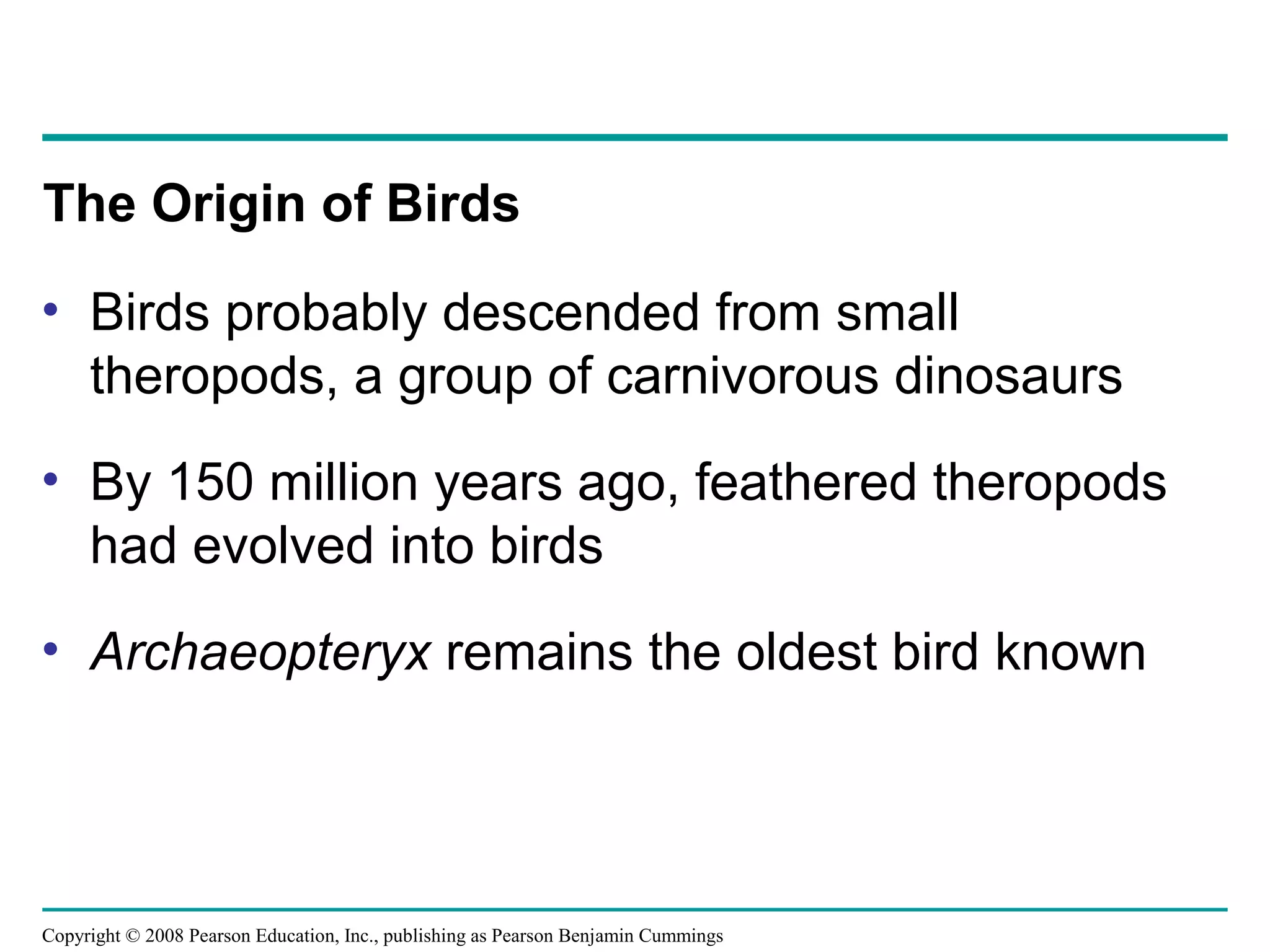 Copyright © 2008 Pearson Education, Inc., publishing as Pearson Benjamin Cummings
• Birds probably descended from small
theropods, a group of carnivorous dinosaurs
• By 150 million years ago, feathered theropods
had evolved into birds
• Archaeopteryx remains the oldest bird known
The Origin of Birds
 