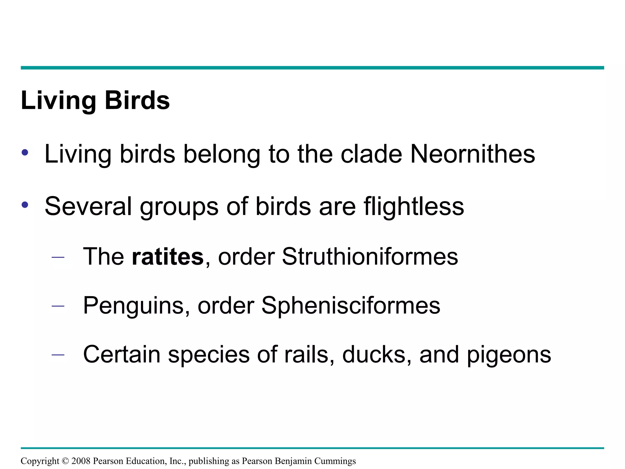 Copyright © 2008 Pearson Education, Inc., publishing as Pearson Benjamin Cummings
• Living birds belong to the clade Neornithes
• Several groups of birds are flightless
– The ratites, order Struthioniformes
– Penguins, order Sphenisciformes
– Certain species of rails, ducks, and pigeons
Living Birds
 