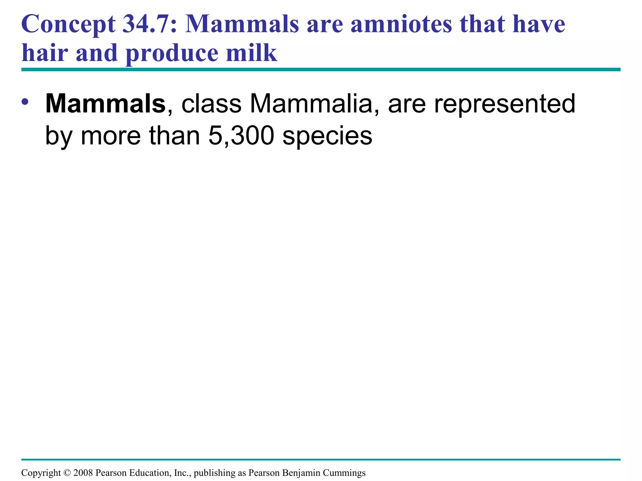 Copyright © 2008 Pearson Education, Inc., publishing as Pearson Benjamin Cummings
Concept 34.7: Mammals are amniotes that have
hair and produce milk
• Mammals, class Mammalia, are represented
by more than 5,300 species
 
