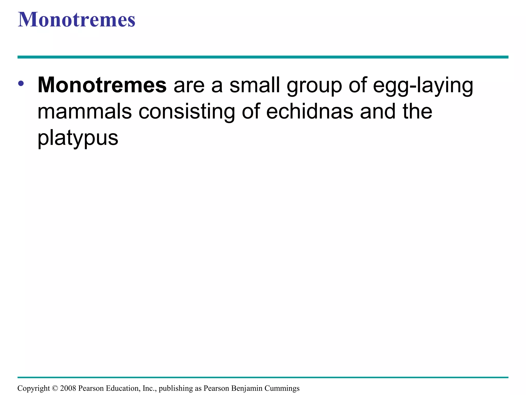 Copyright © 2008 Pearson Education, Inc., publishing as Pearson Benjamin Cummings
Monotremes
• Monotremes are a small group of egg-laying
mammals consisting of echidnas and the
platypus
 