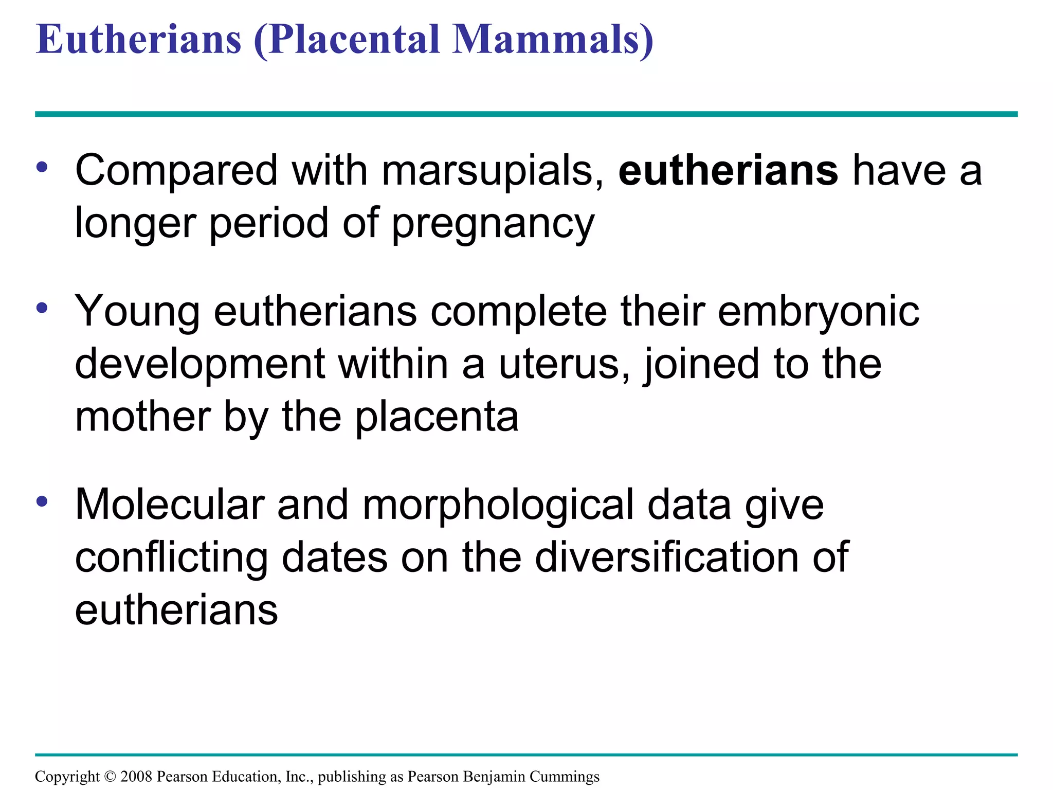 Copyright © 2008 Pearson Education, Inc., publishing as Pearson Benjamin Cummings
Eutherians (Placental Mammals)
• Compared with marsupials, eutherians have a
longer period of pregnancy
• Young eutherians complete their embryonic
development within a uterus, joined to the
mother by the placenta
• Molecular and morphological data give
conflicting dates on the diversification of
eutherians
 