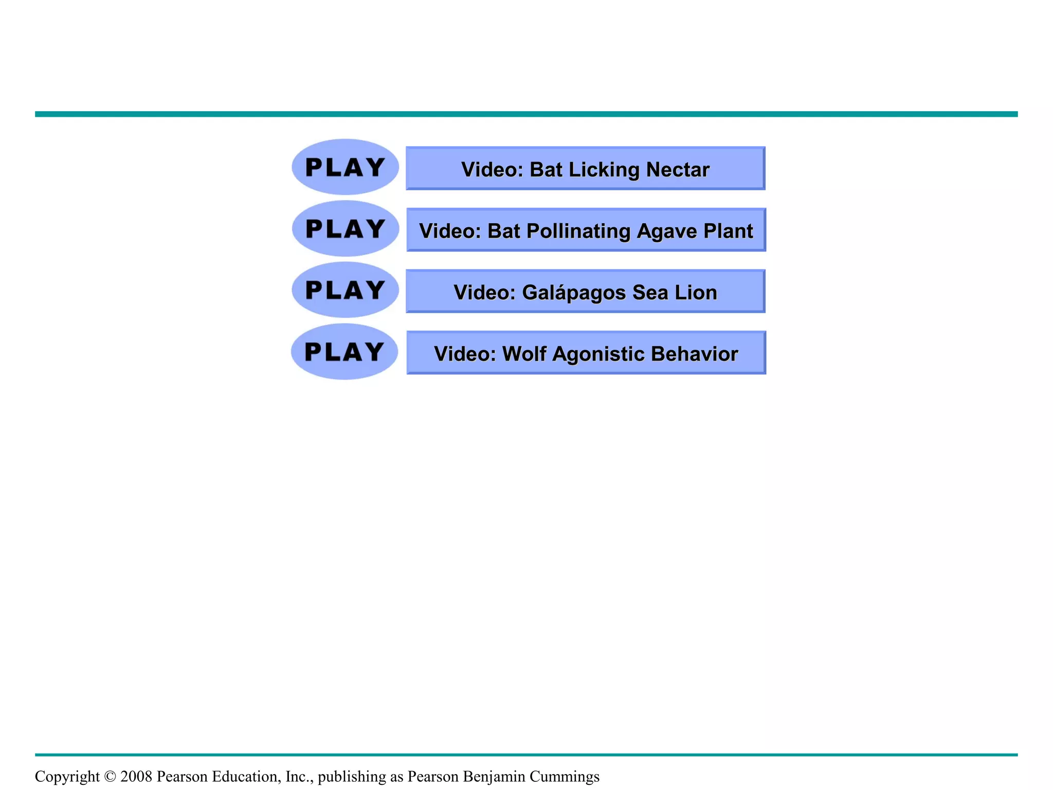 Copyright © 2008 Pearson Education, Inc., publishing as Pearson Benjamin Cummings
Video: Bat Licking NectarVideo: Bat Licking Nectar
Video: Bat Pollinating Agave PlantVideo: Bat Pollinating Agave Plant
Video: Galápagos Sea LionVideo: Galápagos Sea Lion
Video: Wolf Agonistic BehaviorVideo: Wolf Agonistic Behavior
 