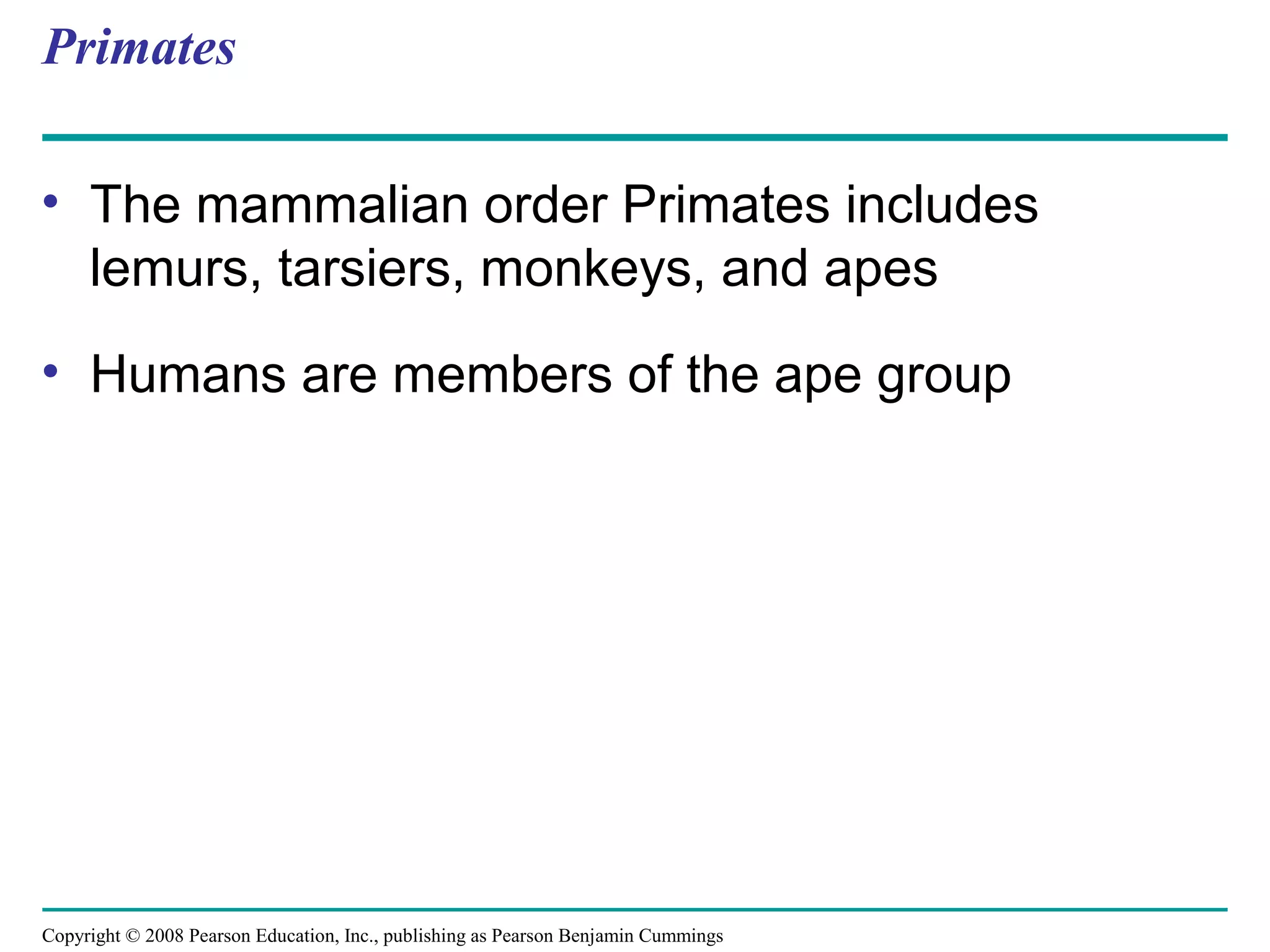 Copyright © 2008 Pearson Education, Inc., publishing as Pearson Benjamin Cummings
Primates
• The mammalian order Primates includes
lemurs, tarsiers, monkeys, and apes
• Humans are members of the ape group
 