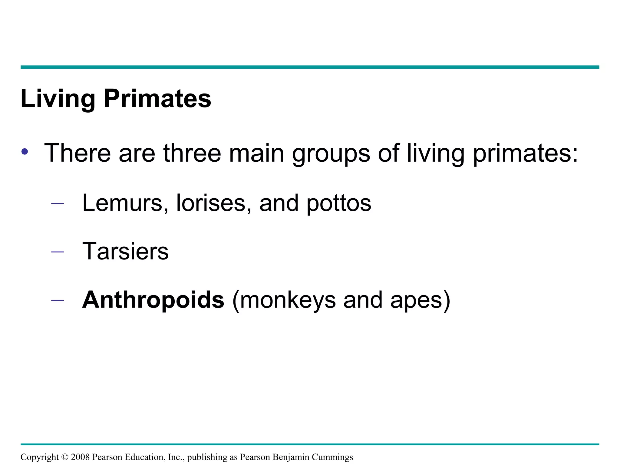 Copyright © 2008 Pearson Education, Inc., publishing as Pearson Benjamin Cummings
• There are three main groups of living primates:
– Lemurs, lorises, and pottos
– Tarsiers
– Anthropoids (monkeys and apes)
Living Primates
 