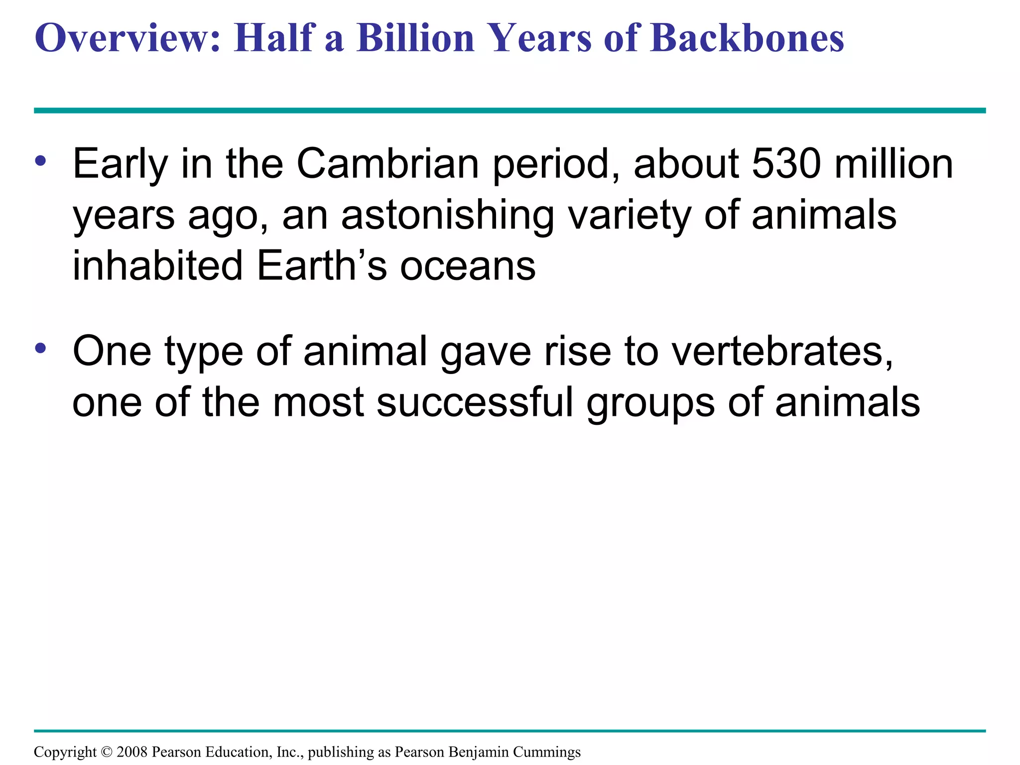 Copyright © 2008 Pearson Education, Inc., publishing as Pearson Benjamin Cummings
Overview: Half a Billion Years of Backbones
• Early in the Cambrian period, about 530 million
years ago, an astonishing variety of animals
inhabited Earth’s oceans
• One type of animal gave rise to vertebrates,
one of the most successful groups of animals
 