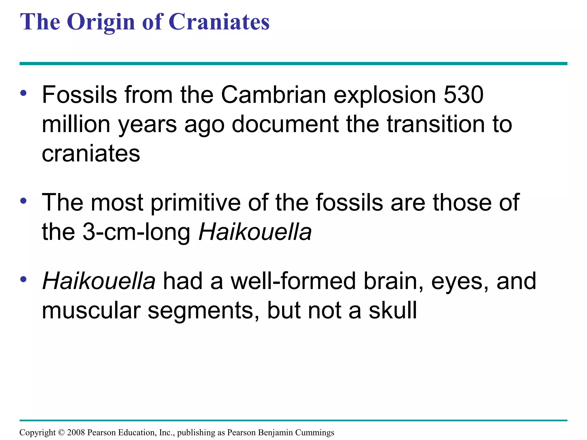 Copyright © 2008 Pearson Education, Inc., publishing as Pearson Benjamin Cummings
The Origin of Craniates
• Fossils from the Cambrian explosion 530
million years ago document the transition to
craniates
• The most primitive of the fossils are those of
the 3-cm-long Haikouella
• Haikouella had a well-formed brain, eyes, and
muscular segments, but not a skull
 