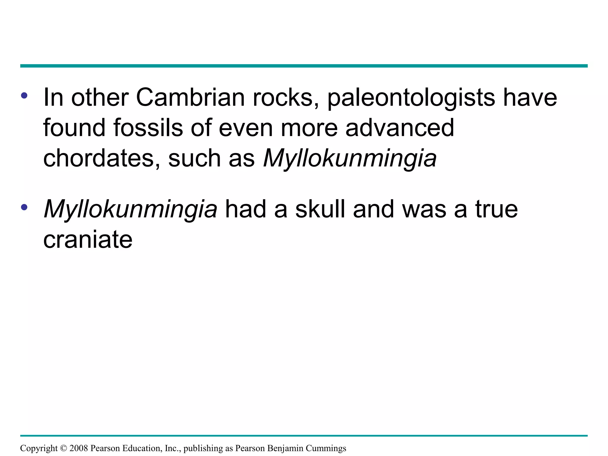 Copyright © 2008 Pearson Education, Inc., publishing as Pearson Benjamin Cummings
• In other Cambrian rocks, paleontologists have
found fossils of even more advanced
chordates, such as Myllokunmingia
• Myllokunmingia had a skull and was a true
craniate
 