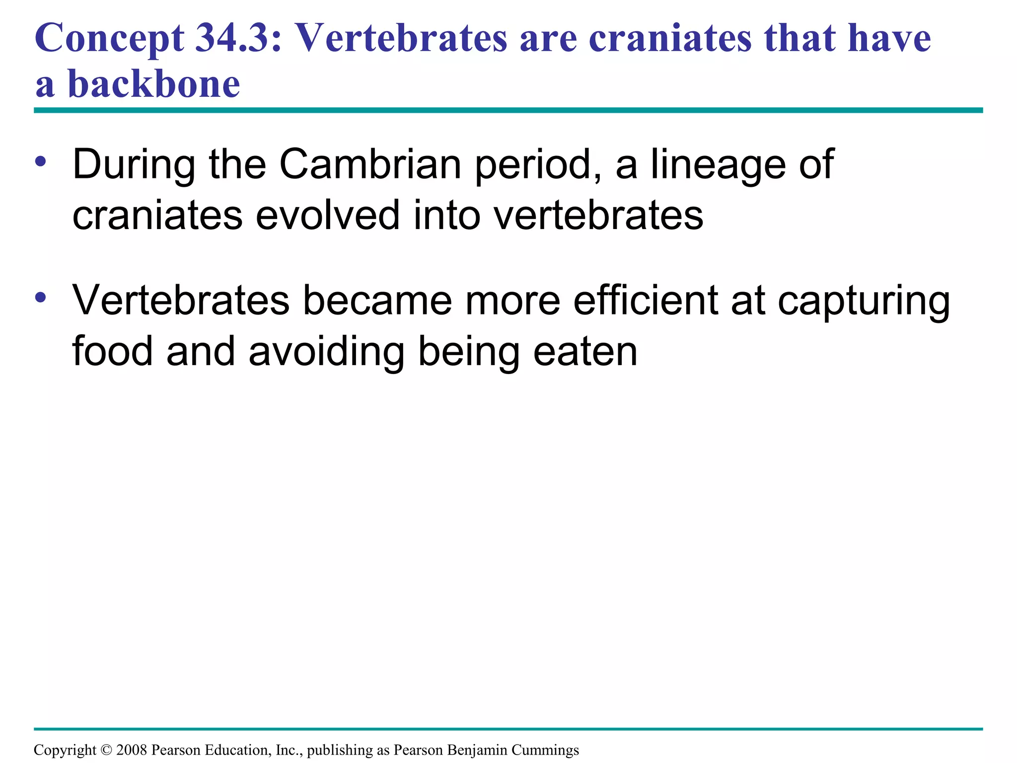 Copyright © 2008 Pearson Education, Inc., publishing as Pearson Benjamin Cummings
Concept 34.3: Vertebrates are craniates that have
a backbone
• During the Cambrian period, a lineage of
craniates evolved into vertebrates
• Vertebrates became more efficient at capturing
food and avoiding being eaten
 