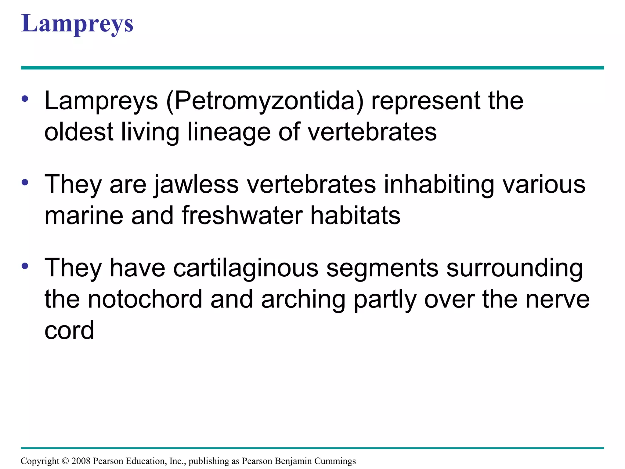 Copyright © 2008 Pearson Education, Inc., publishing as Pearson Benjamin Cummings
Lampreys
• Lampreys (Petromyzontida) represent the
oldest living lineage of vertebrates
• They are jawless vertebrates inhabiting various
marine and freshwater habitats
• They have cartilaginous segments surrounding
the notochord and arching partly over the nerve
cord
 