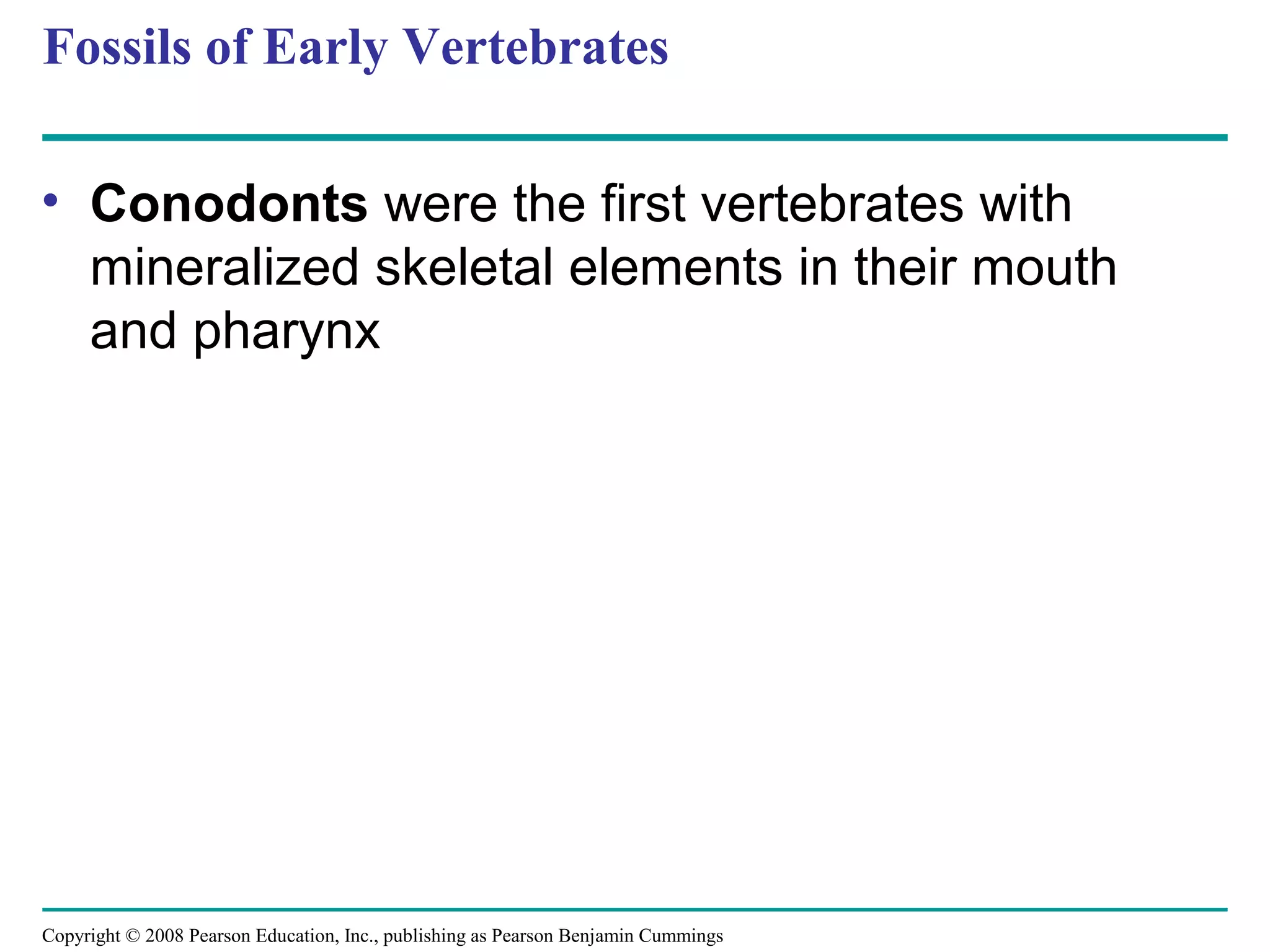 Copyright © 2008 Pearson Education, Inc., publishing as Pearson Benjamin Cummings
Fossils of Early Vertebrates
• Conodonts were the first vertebrates with
mineralized skeletal elements in their mouth
and pharynx
 