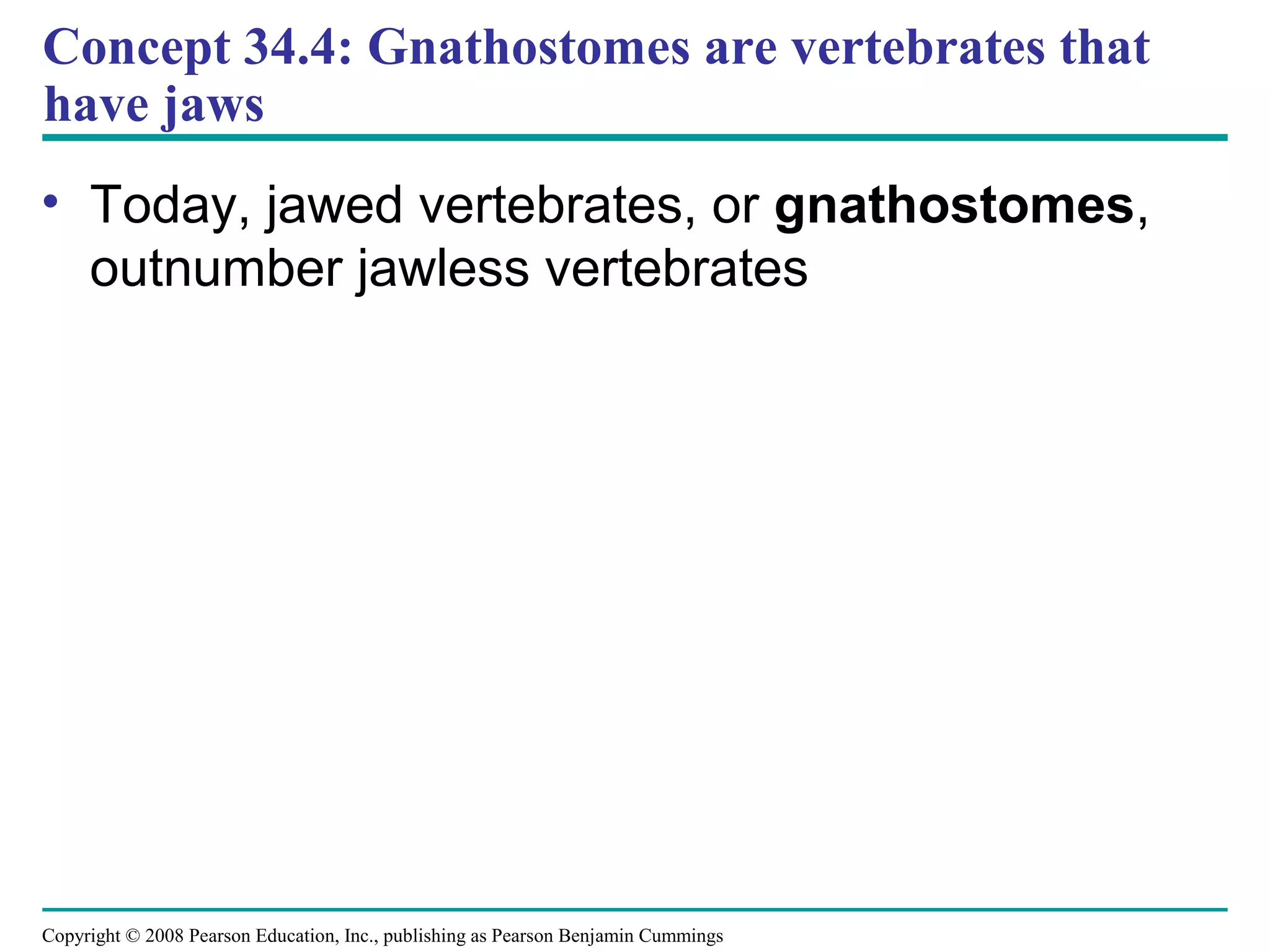 Copyright © 2008 Pearson Education, Inc., publishing as Pearson Benjamin Cummings
Concept 34.4: Gnathostomes are vertebrates that
have jaws
• Today, jawed vertebrates, or gnathostomes,
outnumber jawless vertebrates
 