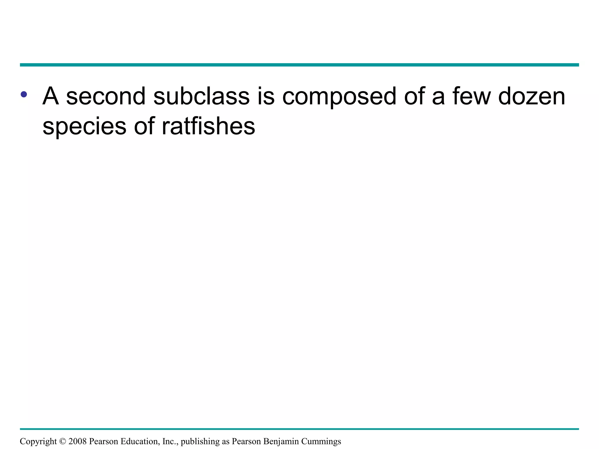 Copyright © 2008 Pearson Education, Inc., publishing as Pearson Benjamin Cummings
• A second subclass is composed of a few dozen
species of ratfishes
 