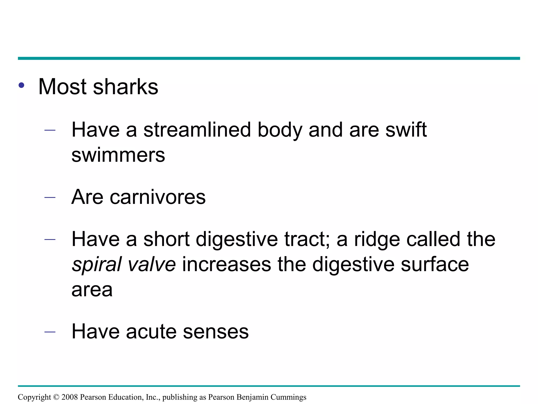 Copyright © 2008 Pearson Education, Inc., publishing as Pearson Benjamin Cummings
• Most sharks
– Have a streamlined body and are swift
swimmers
– Are carnivores
– Have a short digestive tract; a ridge called the
spiral valve increases the digestive surface
area
– Have acute senses
 
