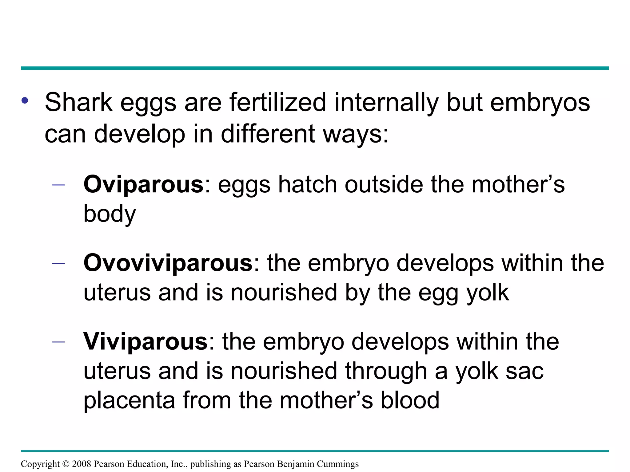 Copyright © 2008 Pearson Education, Inc., publishing as Pearson Benjamin Cummings
• Shark eggs are fertilized internally but embryos
can develop in different ways:
– Oviparous: eggs hatch outside the mother’s
body
– Ovoviviparous: the embryo develops within the
uterus and is nourished by the egg yolk
– Viviparous: the embryo develops within the
uterus and is nourished through a yolk sac
placenta from the mother’s blood
 