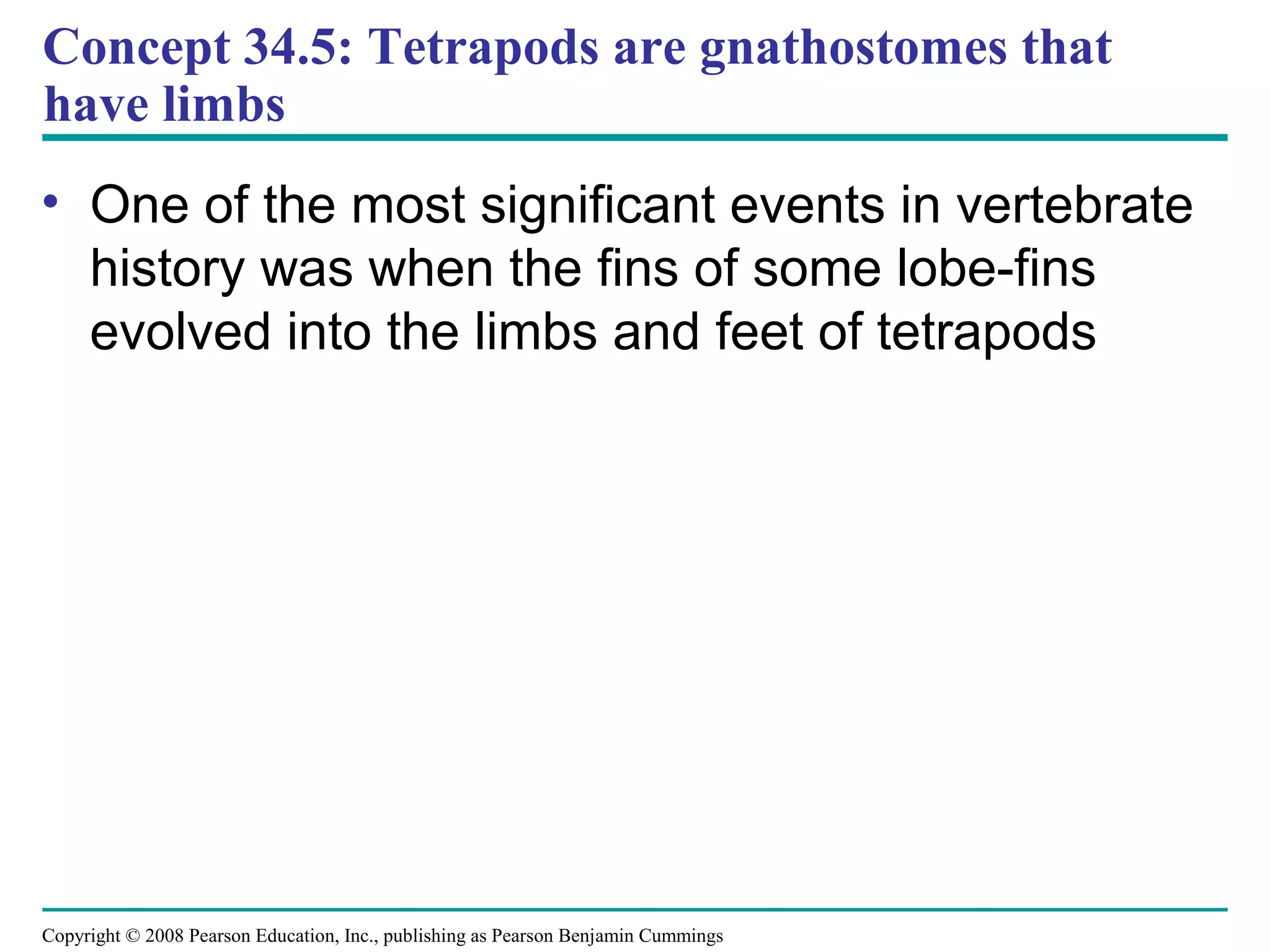 Copyright © 2008 Pearson Education, Inc., publishing as Pearson Benjamin Cummings
Concept 34.5: Tetrapods are gnathostomes that
have limbs
• One of the most significant events in vertebrate
history was when the fins of some lobe-fins
evolved into the limbs and feet of tetrapods
 