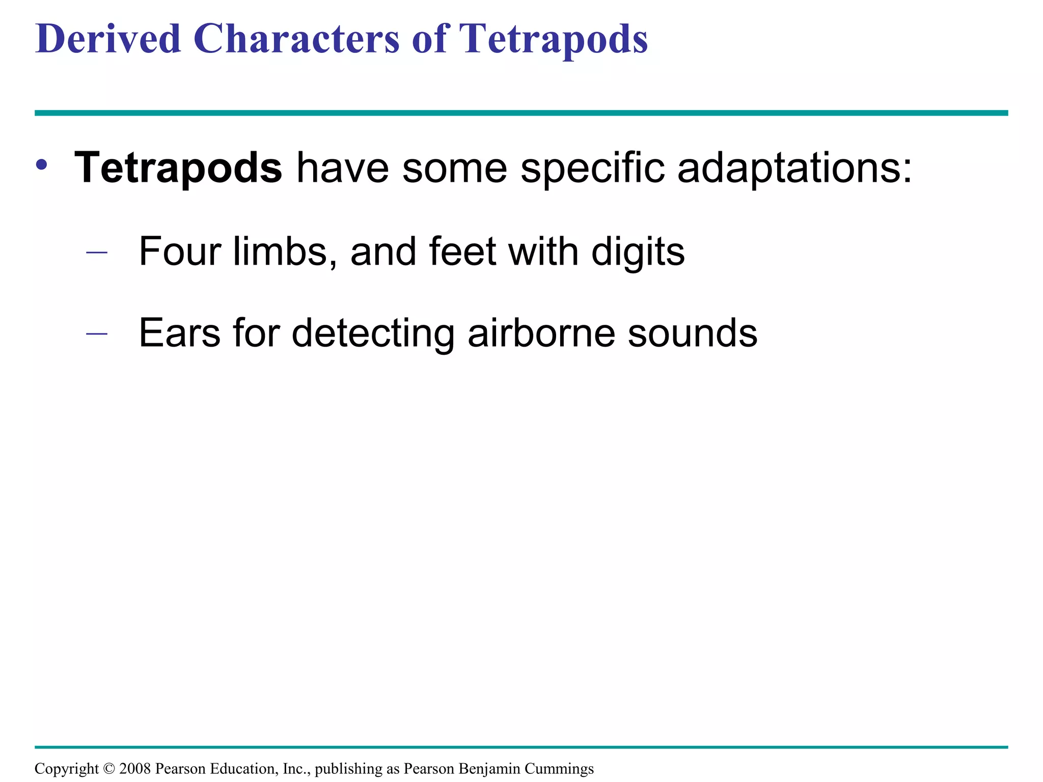 Copyright © 2008 Pearson Education, Inc., publishing as Pearson Benjamin Cummings
Derived Characters of Tetrapods
• Tetrapods have some specific adaptations:
– Four limbs, and feet with digits
– Ears for detecting airborne sounds
 
