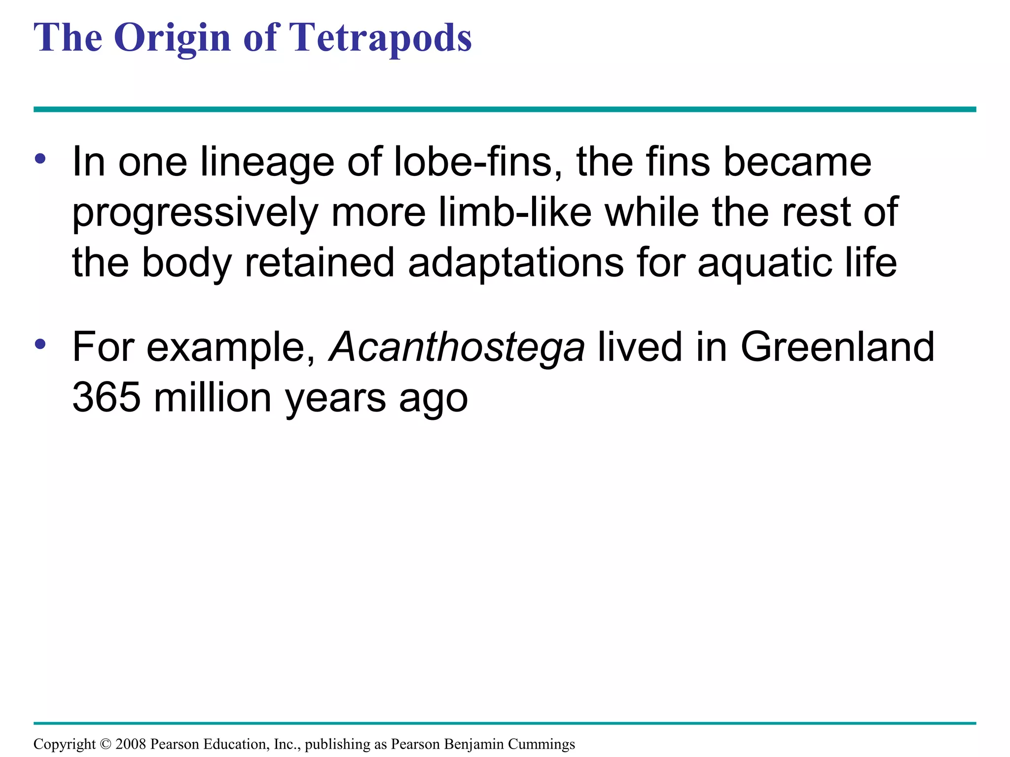 Copyright © 2008 Pearson Education, Inc., publishing as Pearson Benjamin Cummings
The Origin of Tetrapods
• In one lineage of lobe-fins, the fins became
progressively more limb-like while the rest of
the body retained adaptations for aquatic life
• For example, Acanthostega lived in Greenland
365 million years ago
 