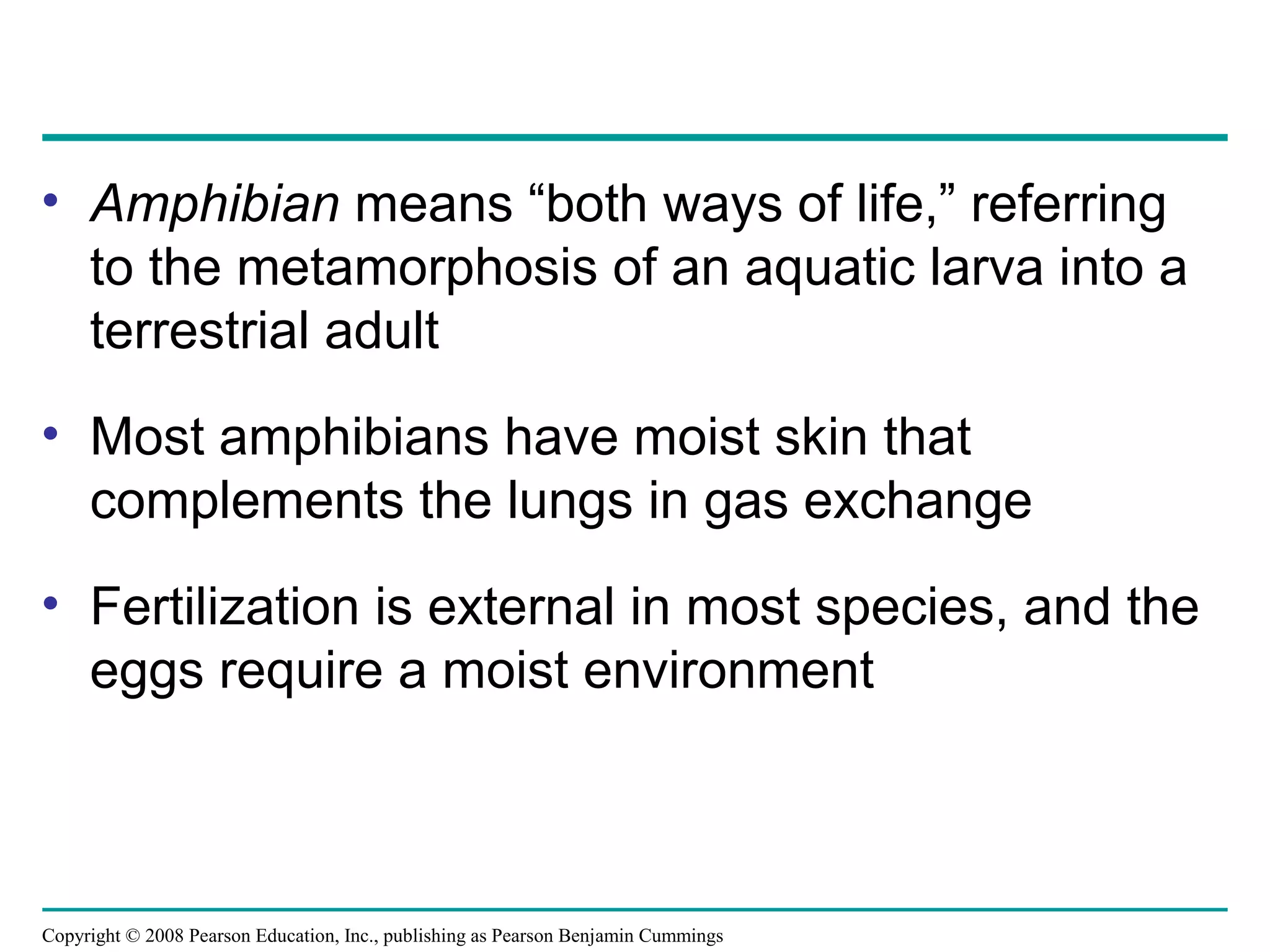 Copyright © 2008 Pearson Education, Inc., publishing as Pearson Benjamin Cummings
• Amphibian means “both ways of life,” referring
to the metamorphosis of an aquatic larva into a
terrestrial adult
• Most amphibians have moist skin that
complements the lungs in gas exchange
• Fertilization is external in most species, and the
eggs require a moist environment
 