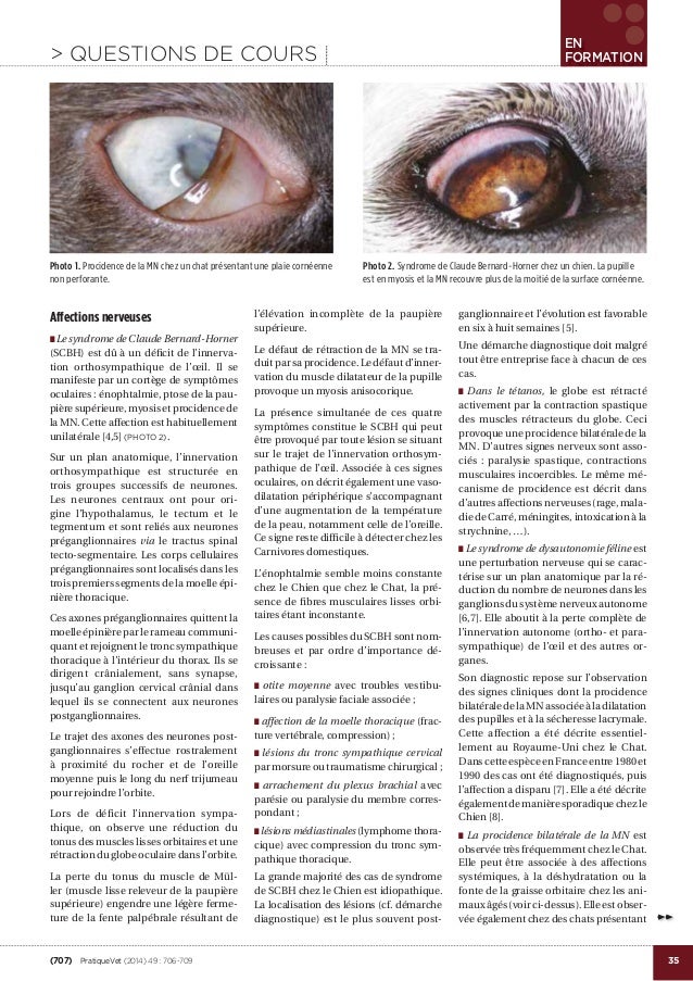 Procidence De La Membrane Nictitante Frank Famose Procidence De La Membrane Nictitante Frank Famose