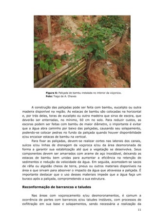 11
Figura 6: Paliçada de bambu instalada no interior da voçoroca.
Foto: Tiago de A. Chaves
A construção das paliçadas pode ser feita com bambu, eucalipto ou outra
madeira disponível na região. As estacas de bambu são colocadas na horizontal
e, por trás delas, toras de eucalipto ou outra madeira que sirva de escora, que
deverão ser enterradas, no mínimo, 60 cm no solo. Para reduzir custos, as
escoras podem ser feitas com bambu de maior diâmetro, o importante é evitar
que a água abra caminho por baixo das paliçadas, causando seu solapamento,
podendo-se colocar pedras no fundo da paliçada quando houver disponibilidade
e/ou encaixar estacas de bambu na vertical.
Para fixar as paliçadas, devem-se realizar cortes nas laterais dos canais,
sulcos e/ou linhas de drenagem da voçoroca e/ou da área desmoronada de
forma a garantir sua estabilização até que a vegetação se desenvolva. Seus
componentes devem ser amarrados com arame de aço inoxidável, deixando as
estacas de bambu bem unidas para aumentar a eficiência na retenção de
sedimentos e redução da velocidade da água. Em seguida, acomodam-se sacos
de ráfia ou algodão cheios de terra, pneus ou outros materiais disponíveis na
área e que sirvam para absorver o impacto da água que atravessa a paliçada. É
importante destacar que o uso desses materiais impede que a água faça um
buraco após a paliçada, comprometendo a sua estrutura.
Reconformação de barrancos e taludes
Nas áreas com voçorocamento e/ou desmoronamentos, é comum a
ocorrência de partes com barrancos e/ou taludes instáveis, com processos de
exfiltração em sua base e solapamentos, sendo necessária a realização da
 