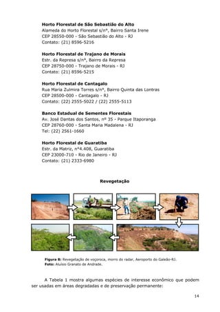 14
Horto Florestal de São Sebastião do Alto
Alameda do Horto Florestal s/n°, Bairro Santa Irene
CEP 28550-000 - São Sebastião do Alto - RJ
Contato: (21) 8596-5216
Horto Florestal de Trajano de Morais
Estr. da Represa s/n°, Bairro da Represa
CEP 28750-000 - Trajano de Morais - RJ
Contato: (21) 8596-5215
Horto Florestal de Cantagalo
Rua Maria Zulmira Torres s/n°, Bairro Quinta das Lontras
CEP 28500-000 - Cantagalo - RJ
Contato: (22) 2555-5022 / (22) 2555-5113
Banco Estadual de Sementes Florestais
Av. José Dantas dos Santos, nº 35 - Parque Itaporanga
CEP 28760-000 - Santa Maria Madalena - RJ
Tel: (22) 2561-1660
Horto Florestal de Guaratiba
Estr. da Matriz, n°4.408, Guaratiba
CEP 23000-710 - Rio de Janeiro - RJ
Contato: (21) 2333-6980
Figura 8: Revegetação de voçoroca, morro do radar, Aeroporto do Galeão-RJ.
Foto: Aluísio Granato de Andrade.
A Tabela 1 mostra algumas espécies de interesse econômico que podem
ser usadas em áreas degradadas e de preservação permanente:
Revegetação
 