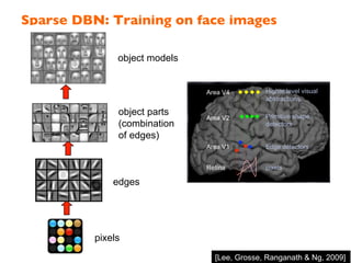 Sparse DBN: Training on face images!
pixels
edges
object parts
(combination
of edges)
object models
[Lee, Grosse, Ranganath & Ng, 2009]
Deep Architecture in the Brain
Retina
Area V1
Area V2
Area V4
pixels
Edge detectors
Primitive shape
detectors
Higher level visual
abstractions
 